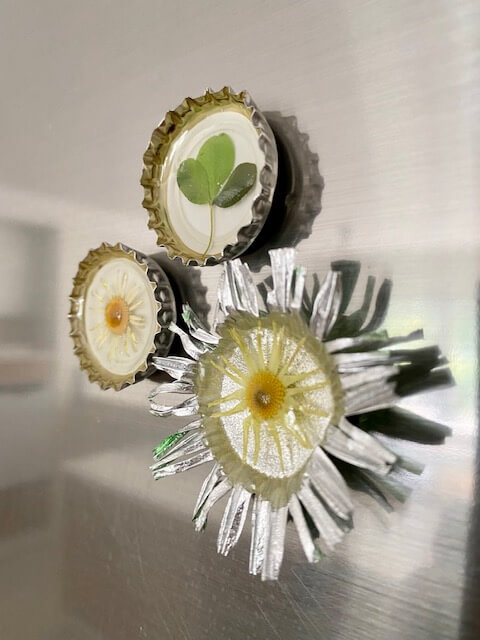 Kauniit jääkaappimagneetit valmistuvat kasveista ja kristallihartsista